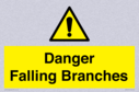 danger-falling-branches~